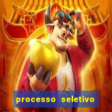 processo seletivo cerejeiras 2024